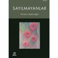 Sayılmayanlar