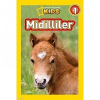 Midilliler-Seviye 1