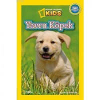 Yavru Köpek