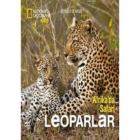 Afrika`da Safari Leoparlar