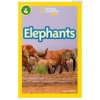 Elephants National Geographic Readers 4