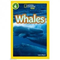 Whales National Geographic Readers 4