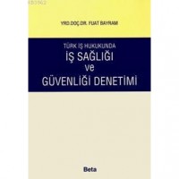 Türk İş Hukukunda İş Sağlığı ve Güvenliği Denetimi