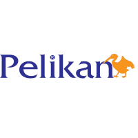 PELİKAN KURS 6. SINIF KÜLTÜR KİTAP SETİ 2024/25