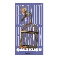 Çalıkuşu - Yeni Kapak